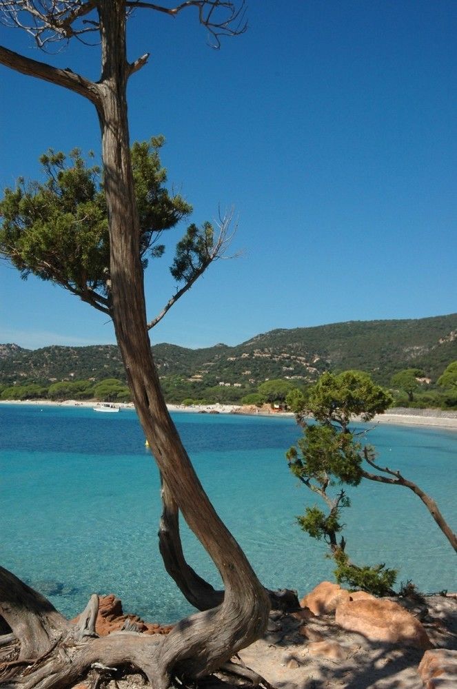 Complesso Residenziale Marina Di Pinarello Lejlighedshotel Pinarellu Eksteriør billede
